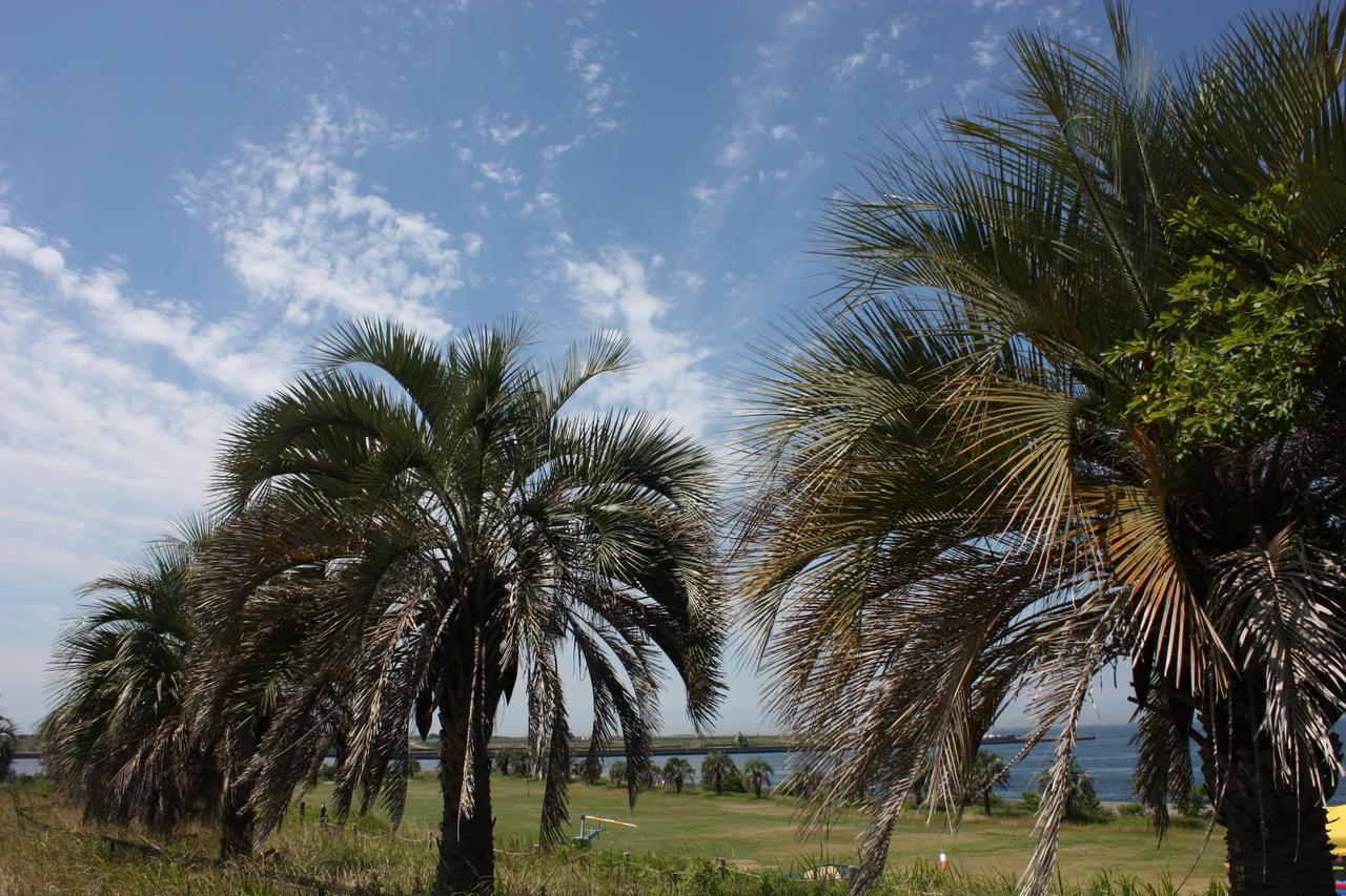 Palm Garden Maishima By Wbf Oszaka Kültér fotó